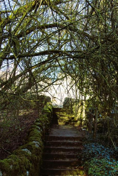 Gorgeous Cozy Cottage With A Heritage Feel, Walks, Pubs & Wood Burner Tideswell Buitenkant foto